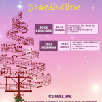 Concierto de Navidad                                *Entre villancicos y estrellas*