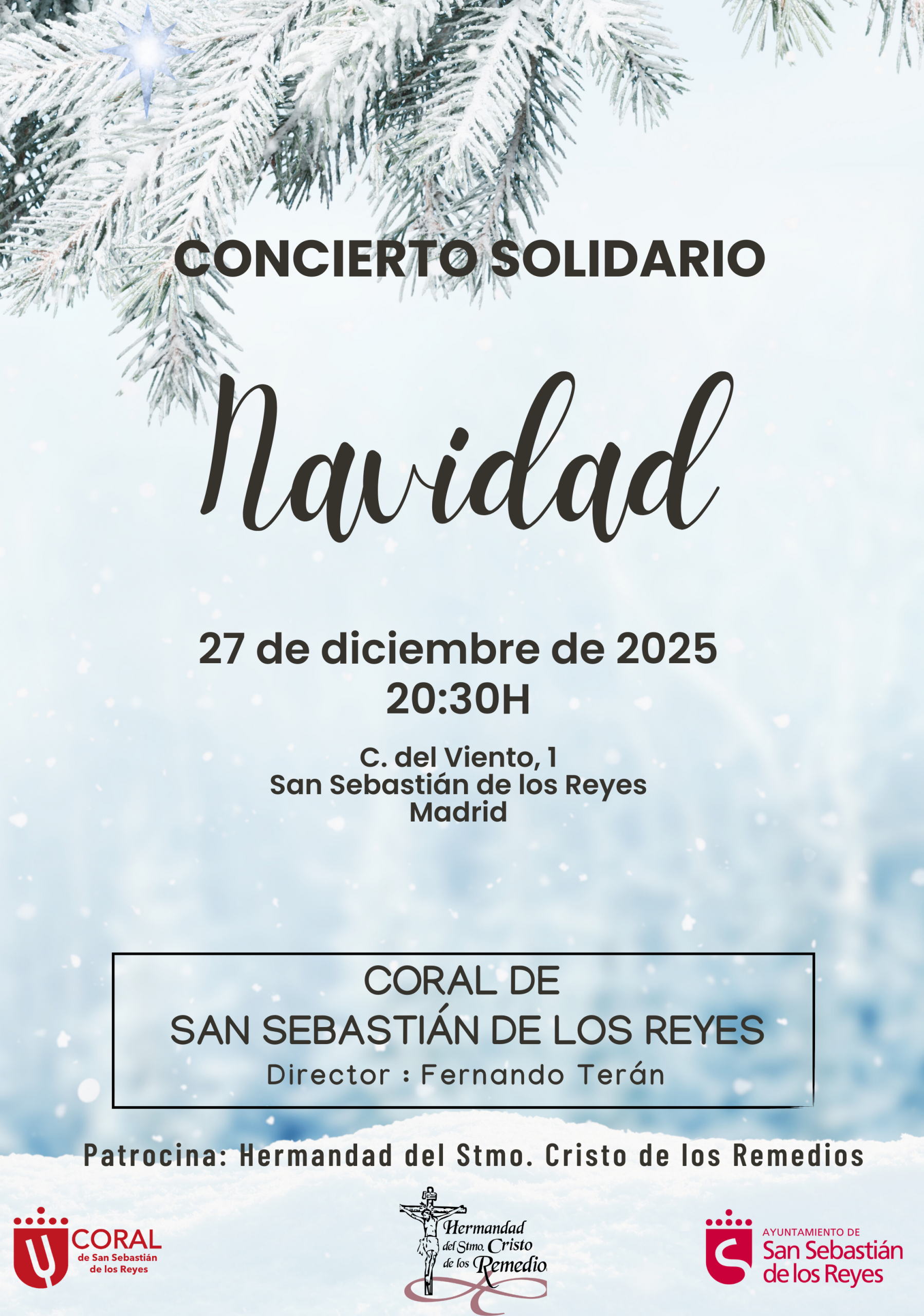 Concierto Solidario de Navidad